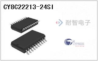 CY8C22213-24SI