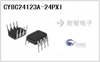 CY8C24123A-24PXI