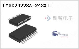 CY8C24223A-24SXIT