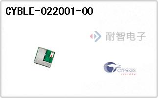 CYBLE-022001-00