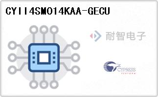 CYII4SM014KAA-GECU