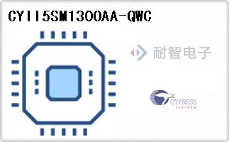 CYII5SM1300AA-QWC
