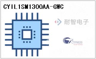 CYIL1SM1300AA-GWC