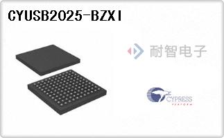 CYUSB2025-BZXI