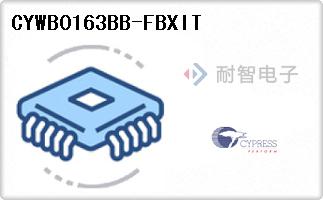 CYWB0163BB-FBXIT代理
