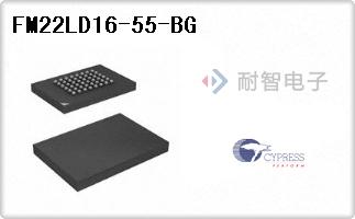 FM22LD16-55-BG