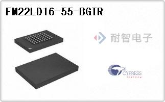 FM22LD16-55-BGTR