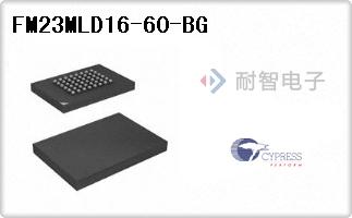 FM23MLD16-60-BG