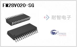 FM28V020-SG