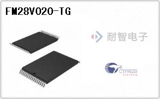 FM28V020-TG