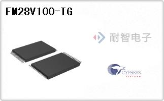 FM28V100-TG