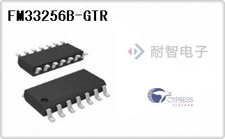 FM33256B-GTR