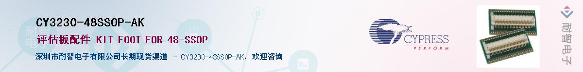CY3230-48SSOP-AKӦ-ǵ