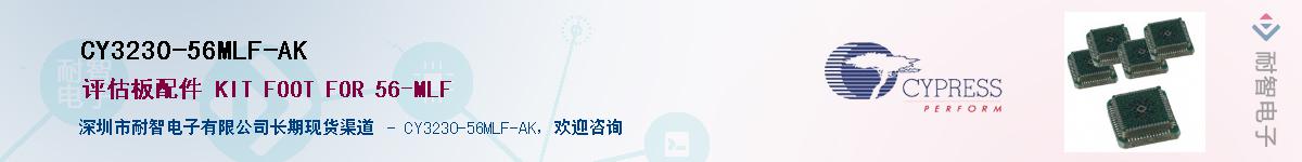 CY3230-56MLF-AKӦ-ǵ
