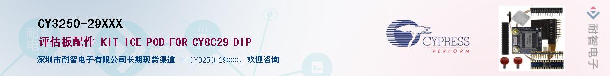 CY3250-29XXXӦ-ǵ