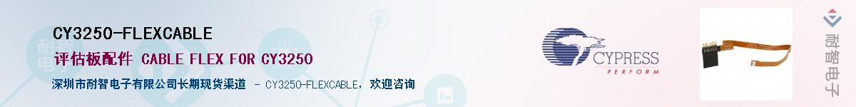 CY3250-FLEXCABLEӦ-ǵ
