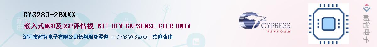 CY3280-28XXXӦ-ǵ
