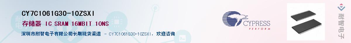 CY7C1061G30-10ZSXIӦ-ǵ