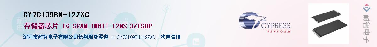 CY7C109BN-12ZXCӦ-ǵ
