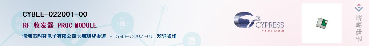 CYBLE-022001-00Ӧ-ǵ