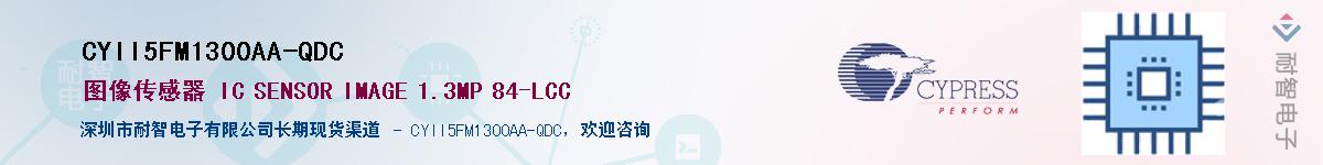 CYII5FM1300AA-QDCӦ-ǵ