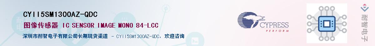 CYII5SM1300AZ-QDCӦ-ǵ