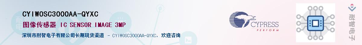 CYIWOSC3000AA-QYXCӦ-ǵ