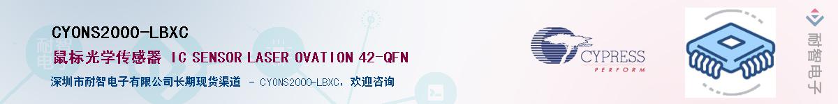 CYONS2000-LBXCӦ-ǵ