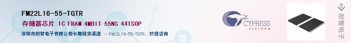 FM22L16-55-TGTRӦ-ǵ