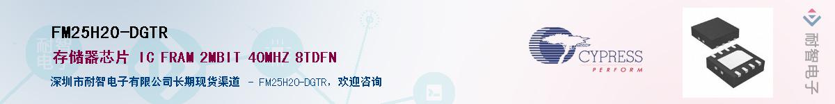 FM25H20-DGTRӦ-ǵ