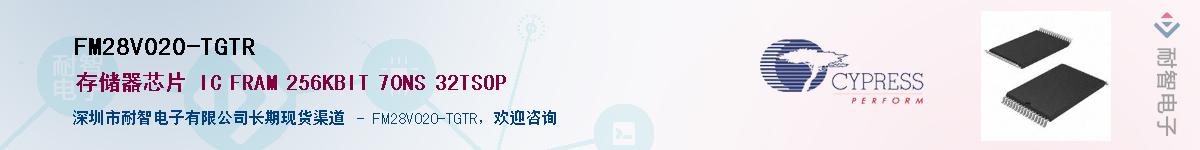 FM28V020-TGTRӦ-ǵ