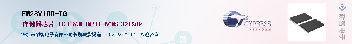 FM28V100-TGӦ-ǵ