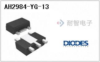 AH2984-YG-13