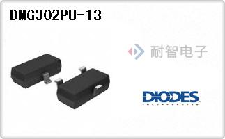 DMG302PU-13