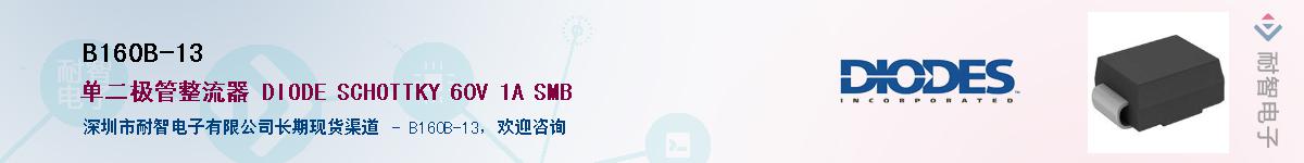 B160B-13��Ӧ��-���ǵ���