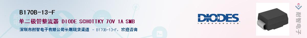 B170B-13-F��Ӧ��-���ǵ���