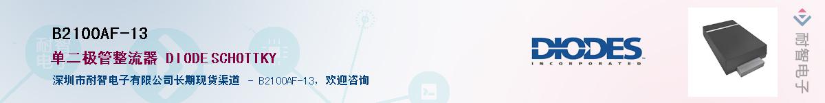 B2100AF-13��Ӧ��-���ǵ���