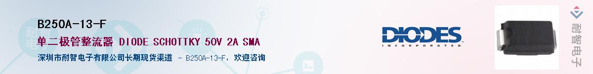 B250A-13-F��Ӧ��-���ǵ���