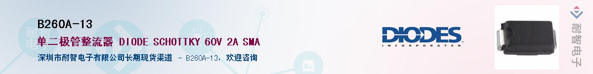 B260A-13��Ӧ��-���ǵ���