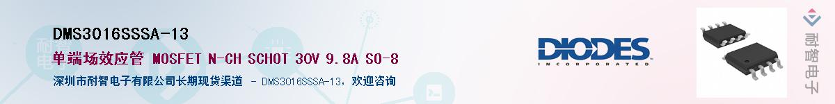 DMS3016SSSA-13Ӧ-ǵ