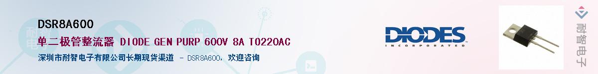 DSR8A600��Ӧ��-���ǵ���