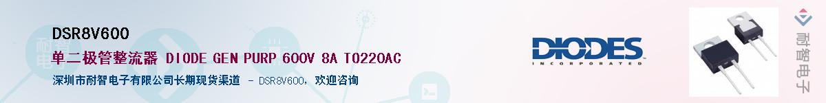 DSR8V600��Ӧ��-���ǵ���