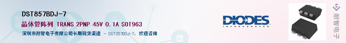 DST857BDJ-7��Ӧ��-���ǵ���