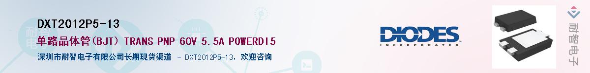 DXT2012P5-13��Ӧ��-���ǵ���