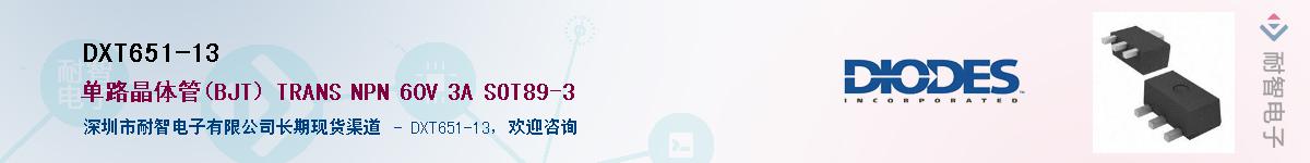 DXT651-13��Ӧ��-���ǵ���