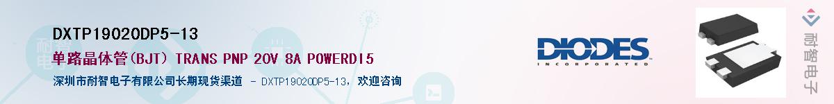 DXTP19020DP5-13��Ӧ��-���ǵ���