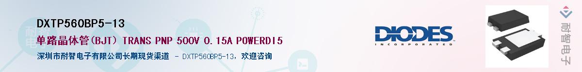 DXTP560BP5-13��Ӧ��-���ǵ���