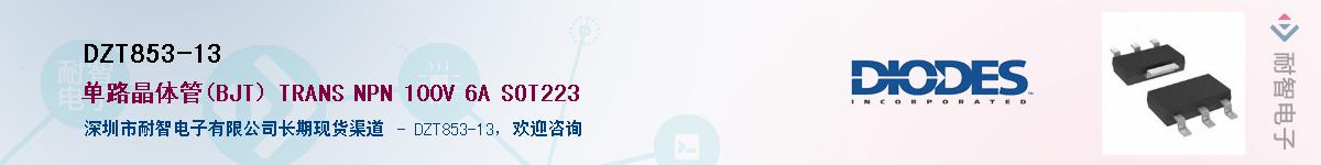 DZT853-13��Ӧ��-���ǵ���