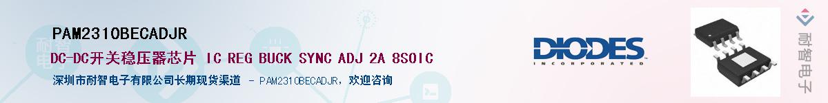 PAM2310BECADJR��Ӧ��-���ǵ���