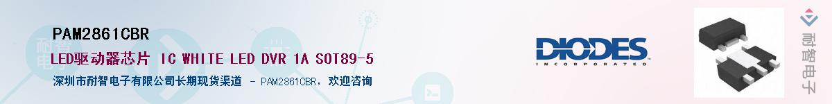 PAM2861CBR��Ӧ��-���ǵ���